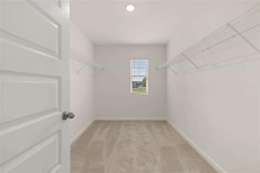 Spacious, unfurnished interior of a new home in Shoal Creek, Hampton (Image 20).