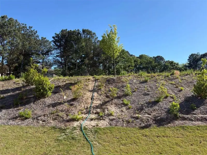 Natural landscape and outdoor views near Briarwood in Cumming (Image 21). Natural landscape and outdoor views near Briarwood in Cumming (Image 21).