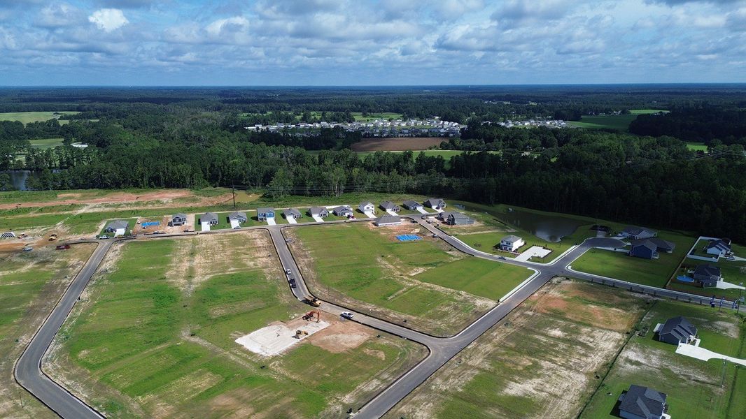 Site preparation for new homesites in Dove Crossing, Conway (Image 19).