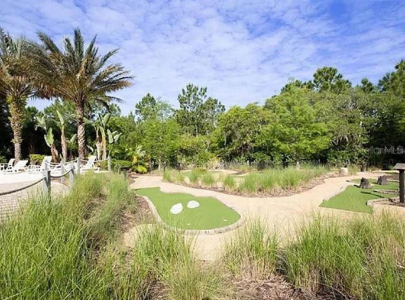 Natural landscape and outdoor views near  in Davenport (Image 38).