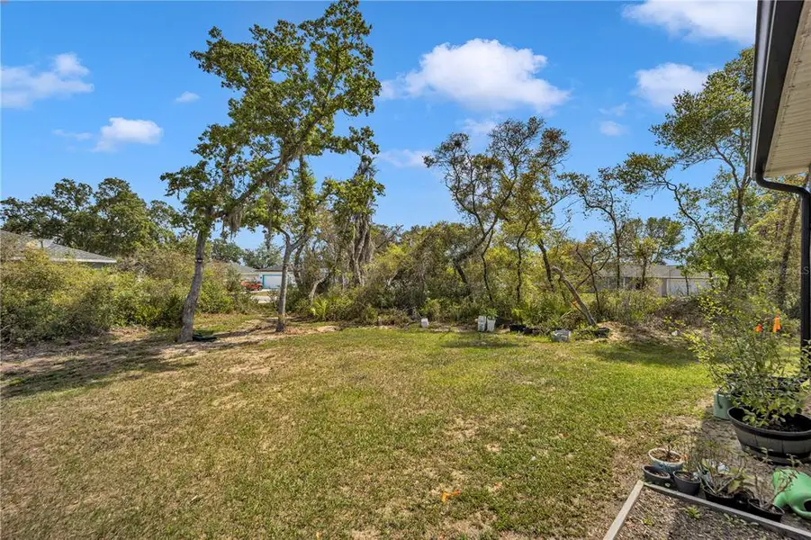 Natural landscape and outdoor views near in Ocala (Image 32). Natural landscape and outdoor views near in Ocala (Image 32).