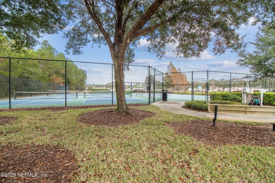 Natural landscape and outdoor views near Amelia Walk in Fernandina Beach (Image 47).