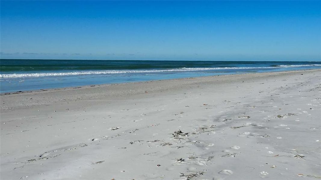Natural landscape and outdoor views near  in Longboat Key (Image 57).
