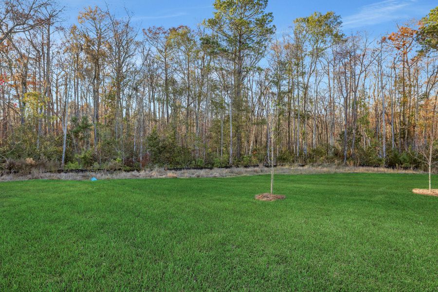 3br New Home in Pooler, GA. - Slide 10 3br New Home in Pooler, GA. - Slide 10