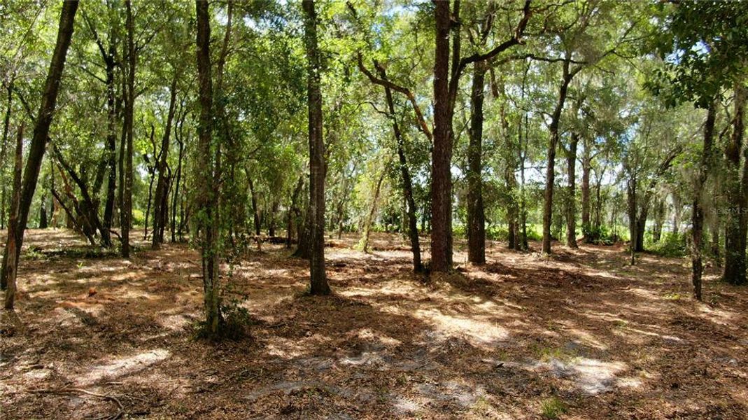 Image 9 of a home in . Image 9 of a home in .