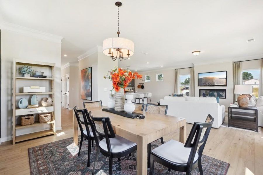 Furnished interior view inside a new home in Fair Oak, Calhoun (Image 4).