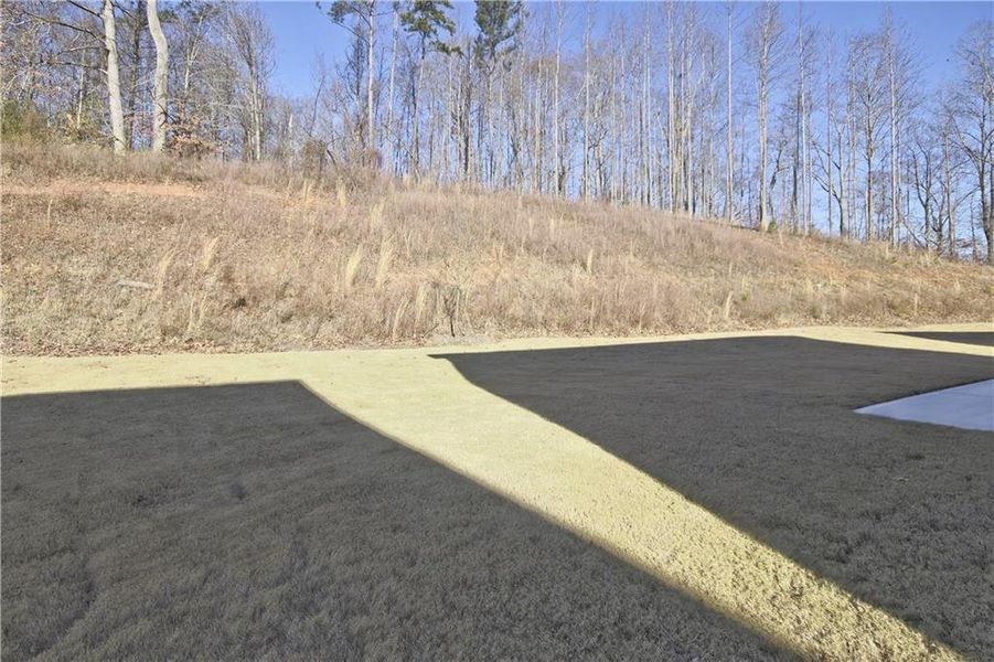 Natural landscape and outdoor views near Clark Farms in Flowery Branch (Image 33). Natural landscape and outdoor views near Clark Farms in Flowery Branch (Image 33).