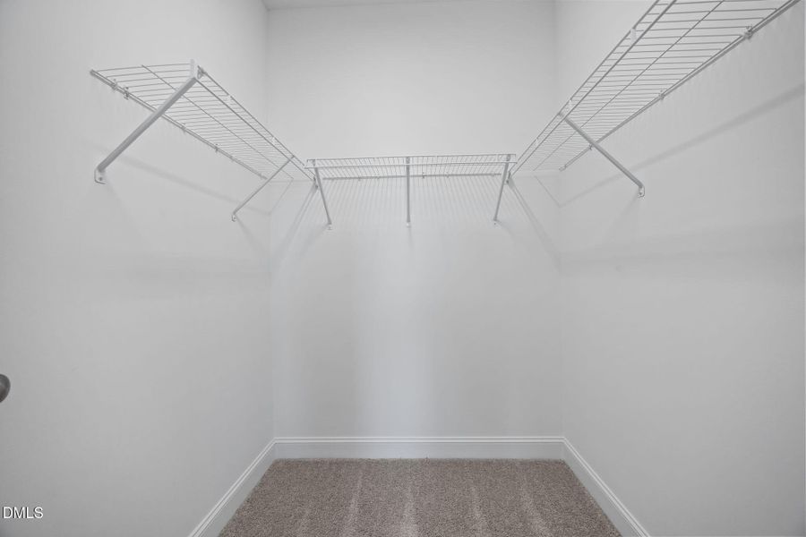 25-web-or-mls-IMG_6484