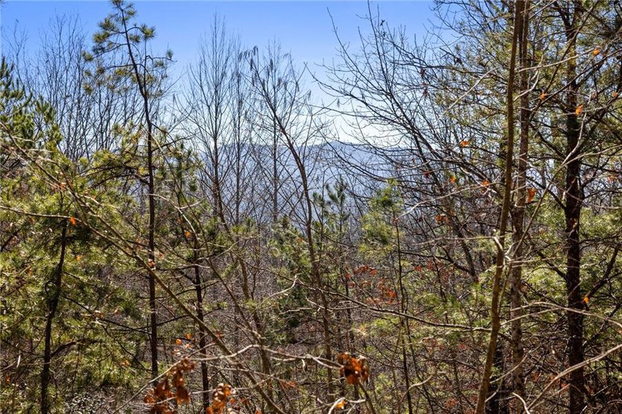 Natural landscape and outdoor views near  in Blue Ridge (Image 59).