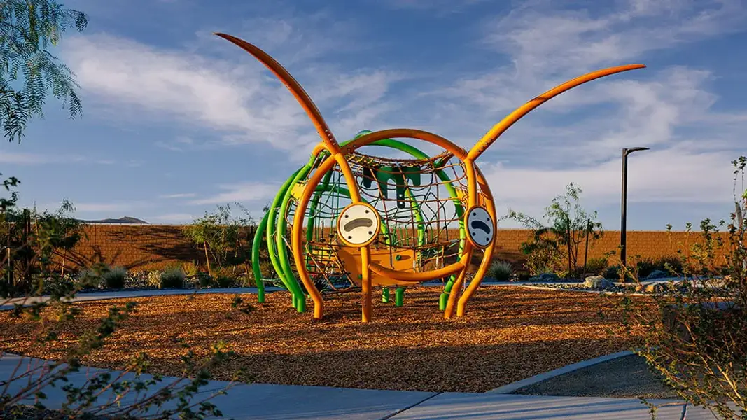 Community amenities in Verdin, Phoenix (Image 28).