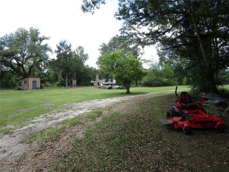 Natural landscape and outdoor views near  in Dade City (Image 26).
