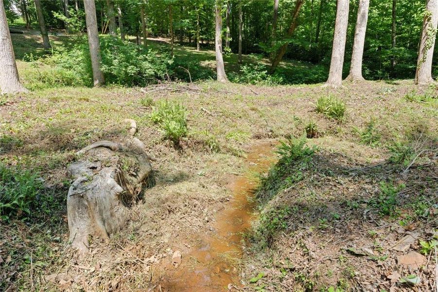 Natural landscape and outdoor views near in Dawsonville (Image 45). Natural landscape and outdoor views near in Dawsonville (Image 45).