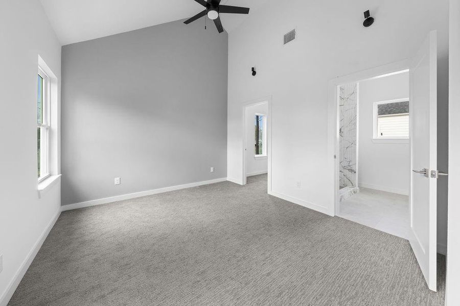 Primary Bedroom with vaulted ceilings.