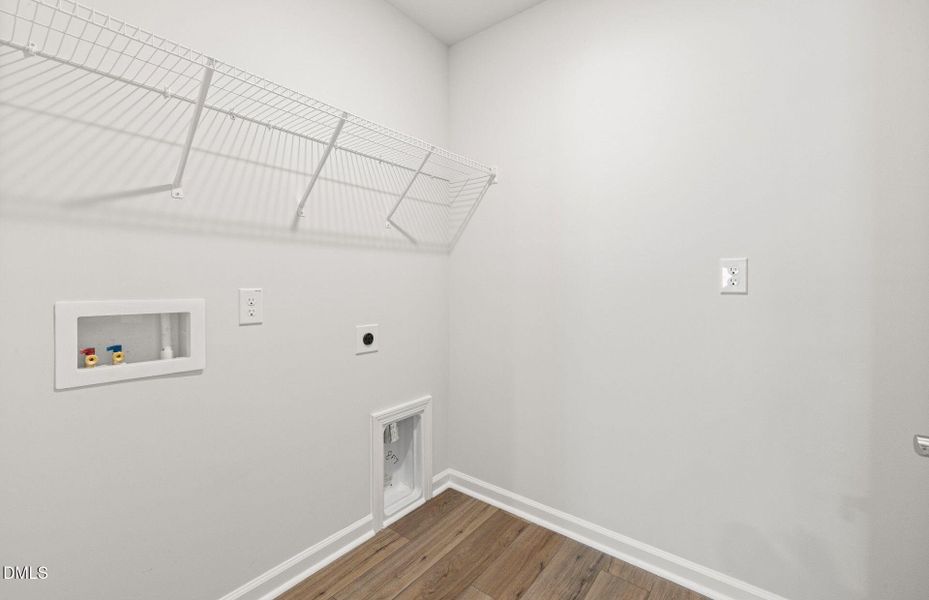 oriole (16) oriole (16)