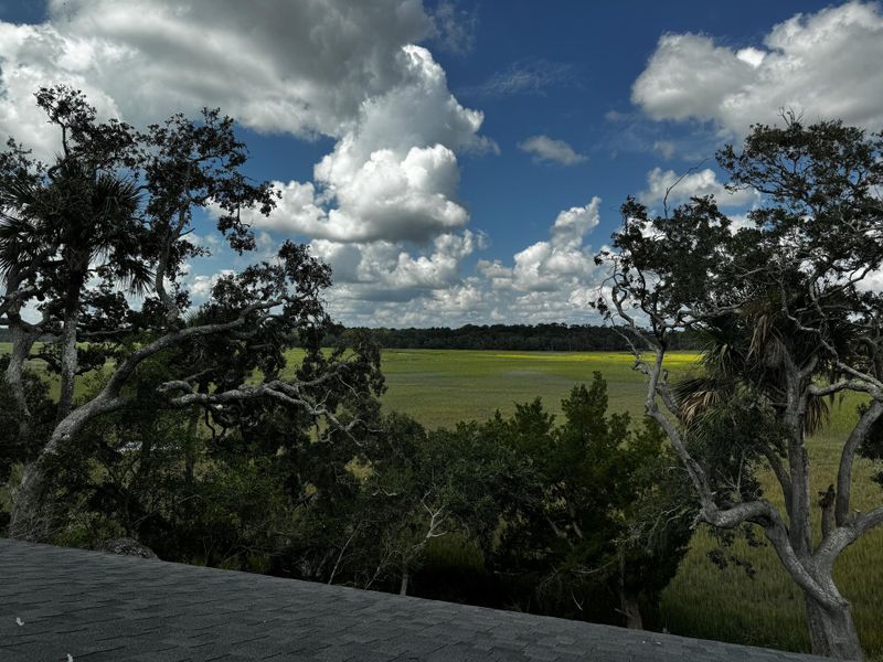 Natural landscape and outdoor views near in Edisto Island (Image 68). Natural landscape and outdoor views near in Edisto Island (Image 68).