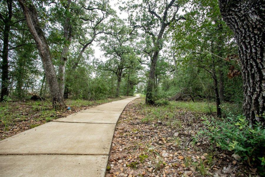 Natural landscape and outdoor views near The Colony in Bastrop (Image 37).