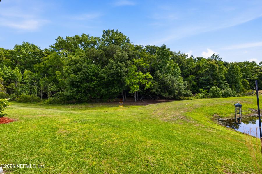 Natural landscape and outdoor views near  in St. Augustine (Image 62).