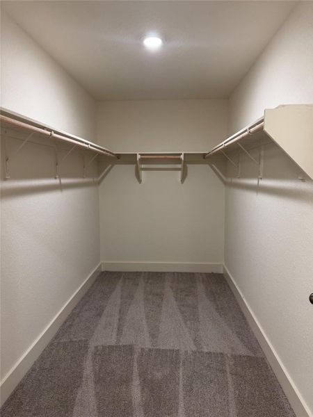 Spacious closet with carpet flooring Spacious closet with carpet flooring