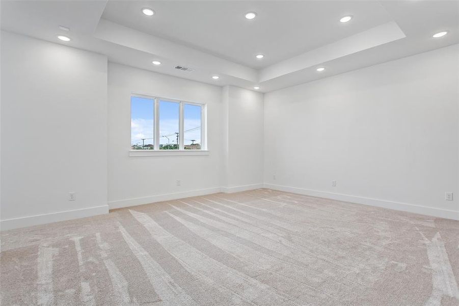 Unfurnished room with a raised ceiling and light colored carpet