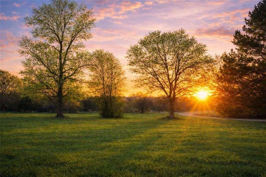 Natural landscape and outdoor views near  in Elberton (Image 16).