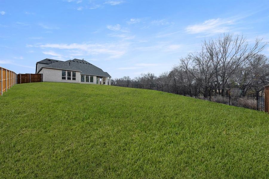 2909 Tulip-Rear Yard