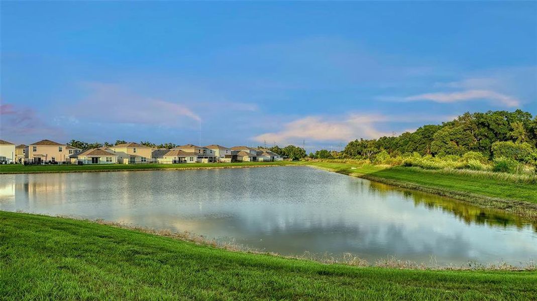 Natural landscape and outdoor views near Bella Lago in Parrish (Image 43).