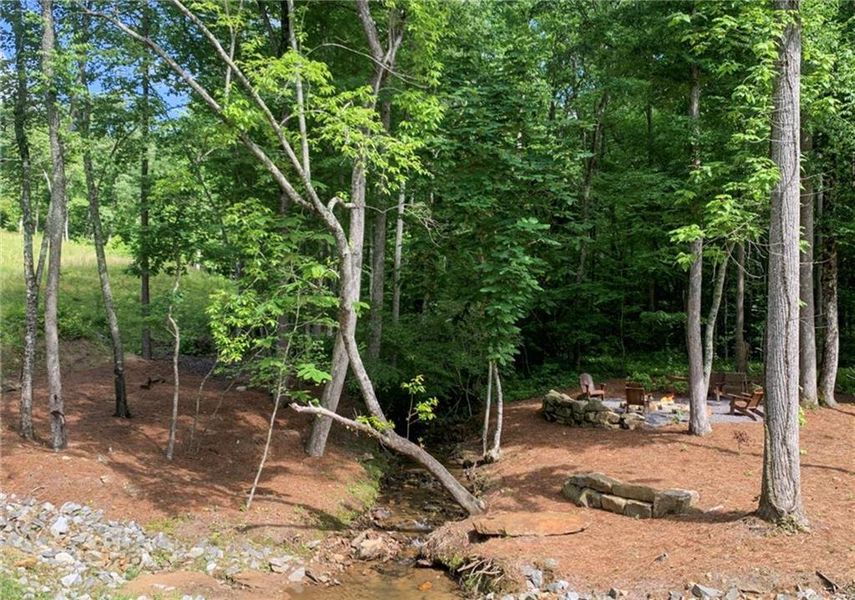 Natural landscape and outdoor views near  in Talking Rock (Image 66).