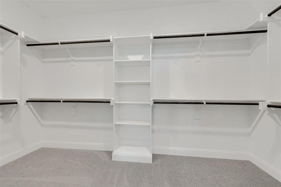 Spacious closet featuring carpet flooring