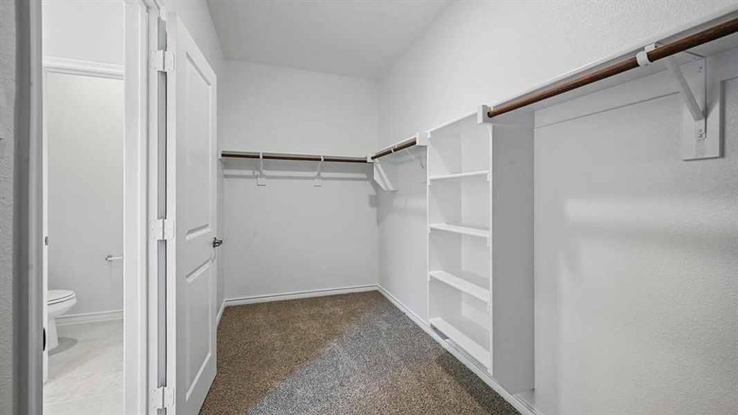 Walk in closet with dark carpet