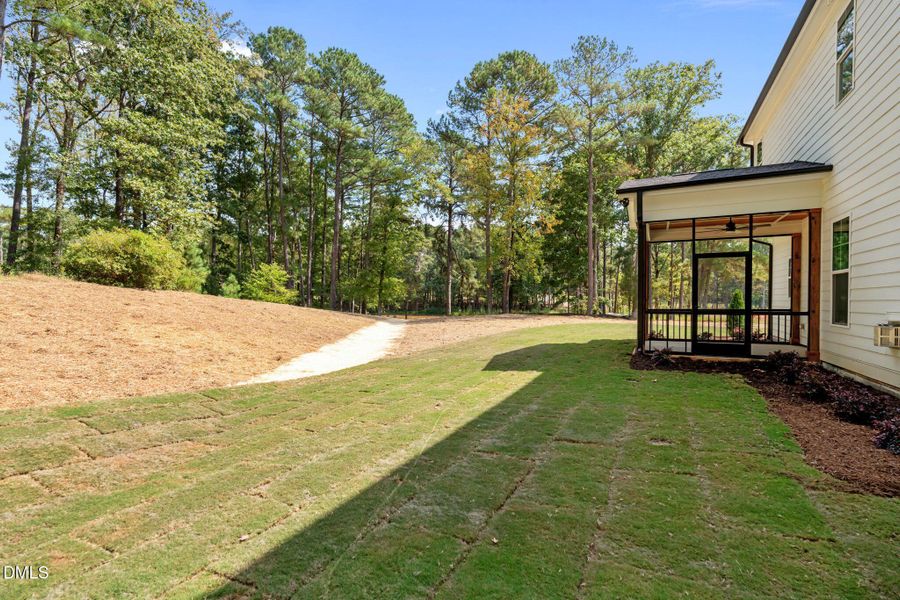 42-web-or-mls-DSC06324