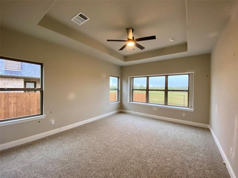 Large master bedroom offrs a tray ceiling, fan, and lots of windows.