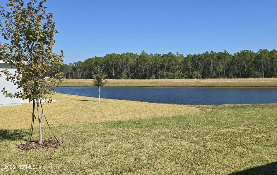 Natural landscape and outdoor views near Flagler Village - Classic Series in Palm Coast (Image 29).