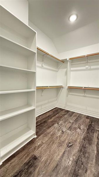 Spacious closet with hardwood / wood-style flooring and vaulted ceiling