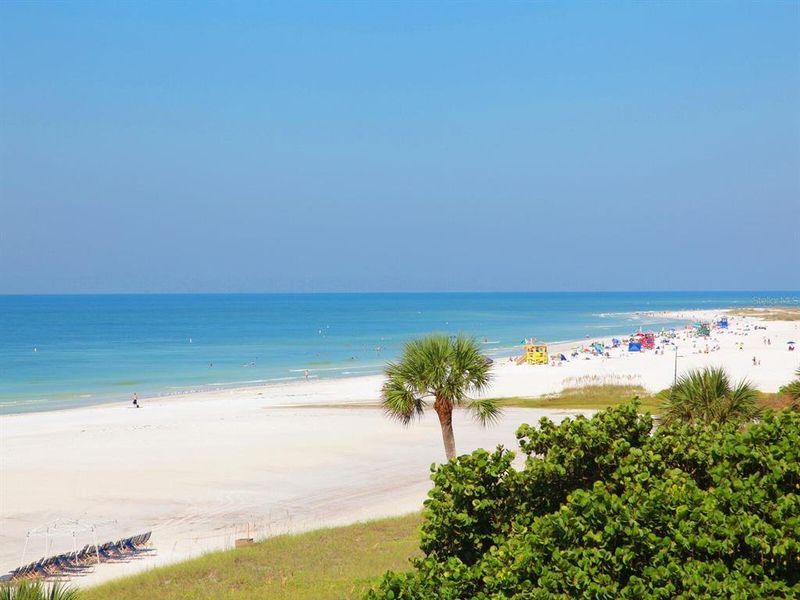 Natural landscape and outdoor views near  in Sarasota (Image 50).
