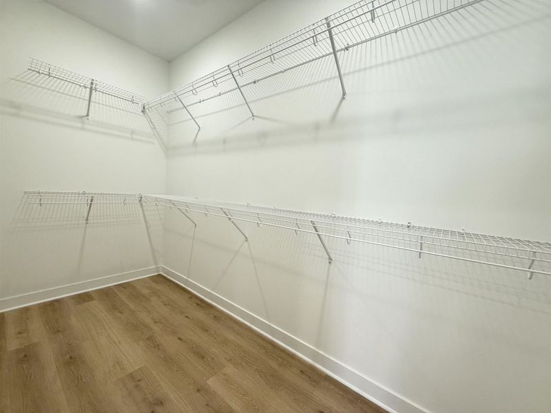 Walk in closet featuring dark wood-type flooring