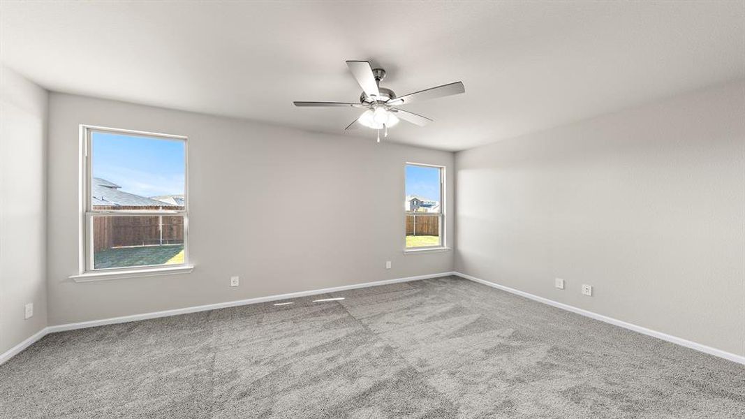 18. 3100 Areca - Primary 18. 3100 Areca - Primary