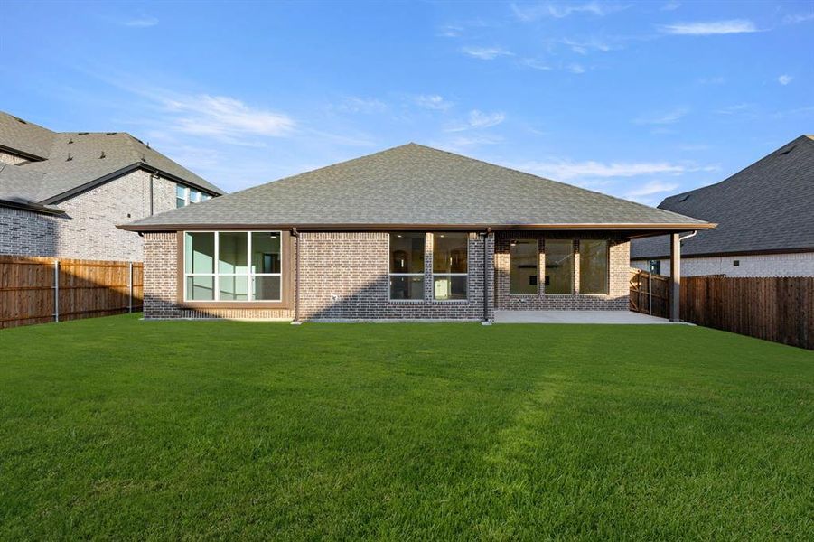 51 Magpie-Back-1 51 Magpie-Back-1