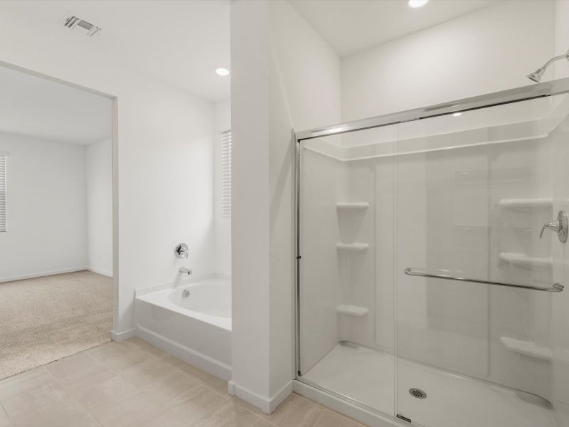 Furnished interior view inside a new home in Bella Vista Farms Reserve Series, San Tan Valley (Image 4).