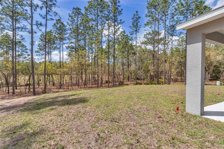 Actual Completed Home Ready to Move In