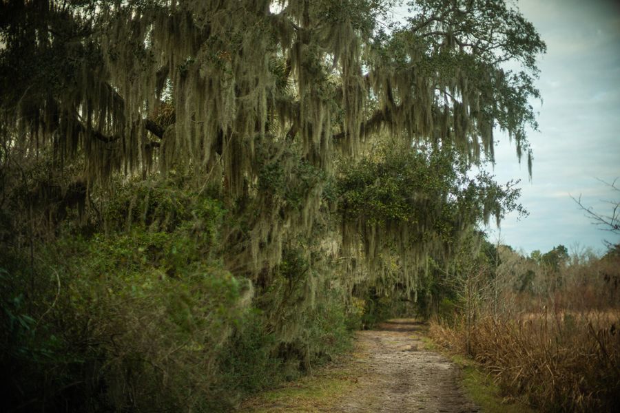 Natural landscape and outdoor views near in Dorchester (Image 36). Natural landscape and outdoor views near in Dorchester (Image 36).