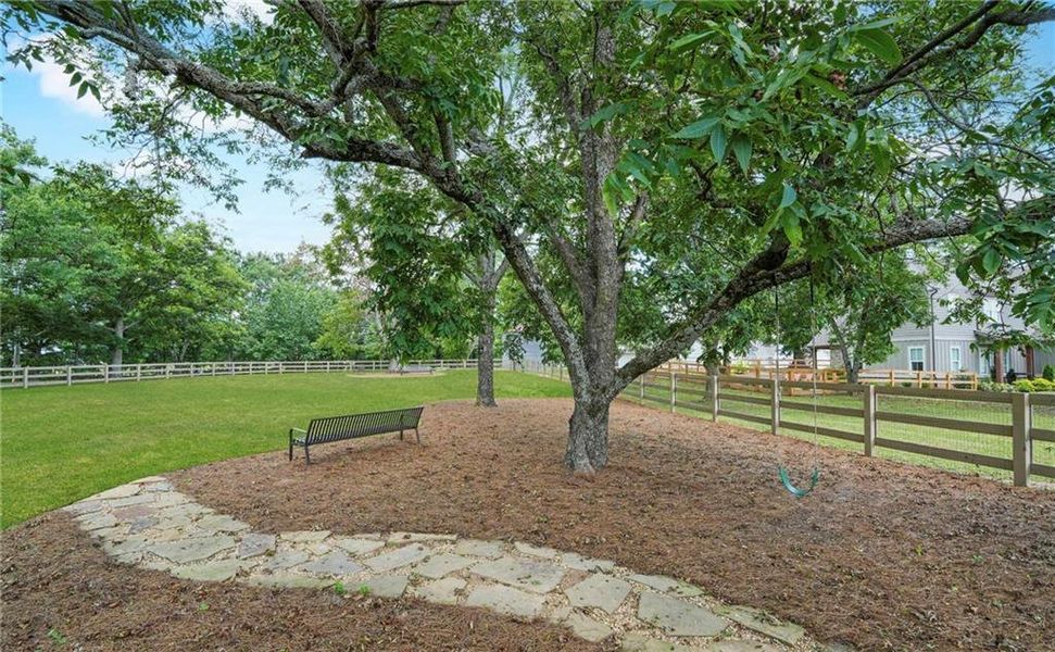Natural landscape and outdoor views near Trove in Watkinsville (Image 32).