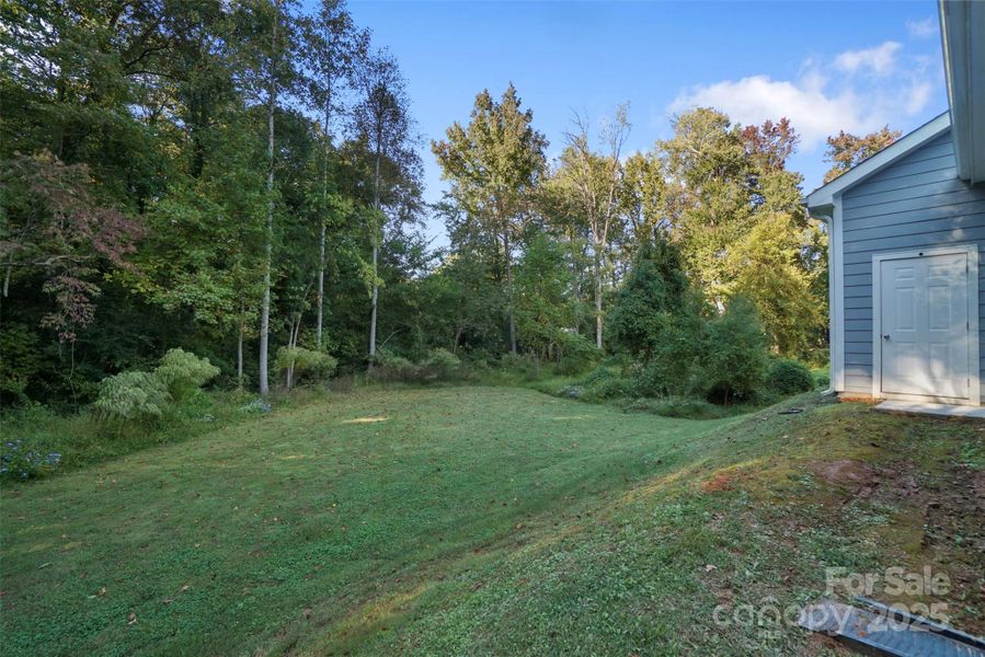 Natural landscape and outdoor views near  in Charlotte (Image 23).