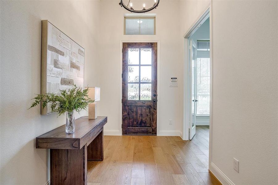 Entryway with light wood-type flooring and a wealth of natural light