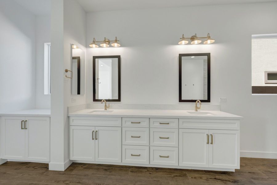 Owner's Bath