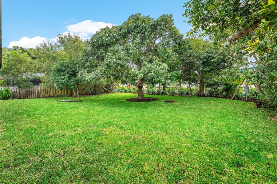 Natural landscape and outdoor views near  in Stuart (Image 37).