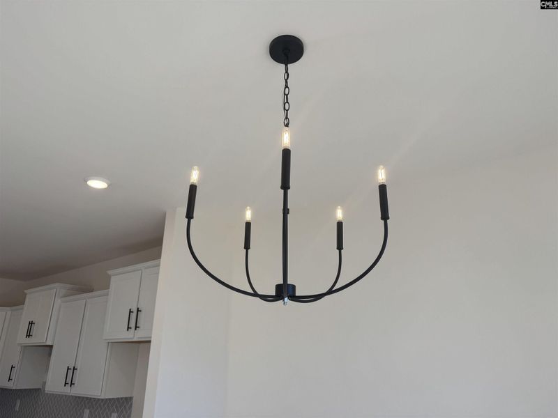 Close-up of interior finishes inside a home in Boykin Hills, Chapin (Image 17).