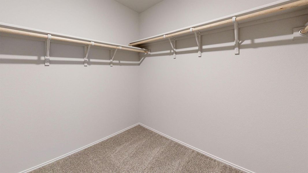 Walk in closet with carpet floors