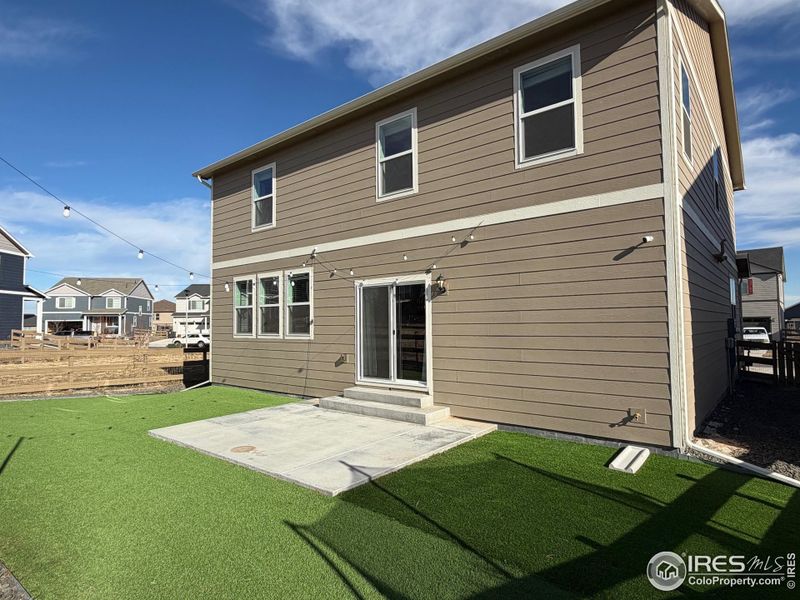 Turf for permanent green space and low maintenance Turf for permanent green space and low maintenance