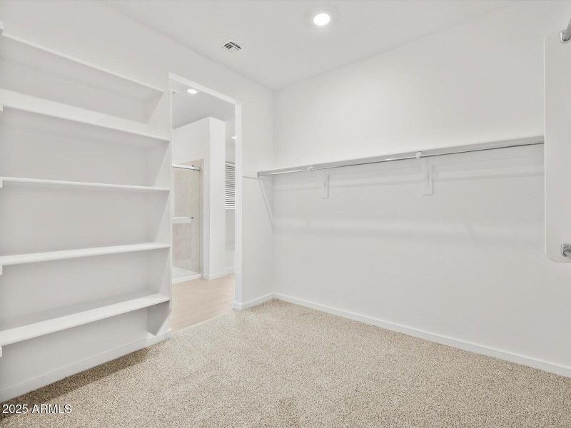 Walk-In Closet View 2