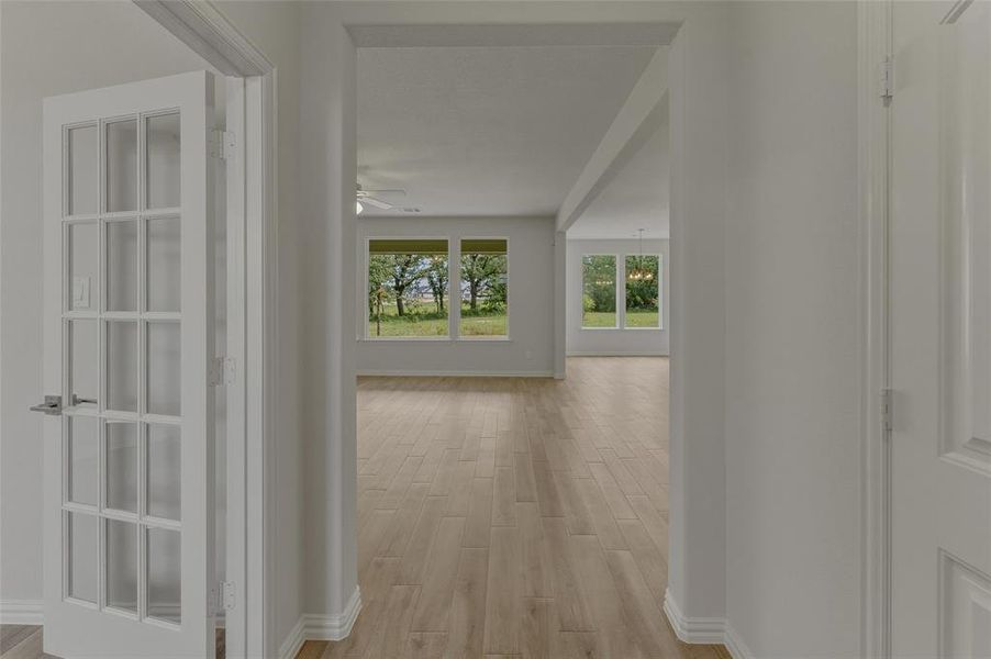 Interior entry featuring a white paneled door with glass inserts, wood-finish flooring, white baseboards, and a broad arched entryway